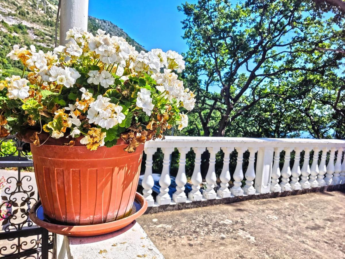 Dubrovnik Moonshine Apartment Mlini Exterior photo